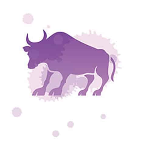 Charakter des Stier-Mannes
